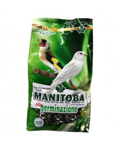 Miscela di alta germinazione Manitoba