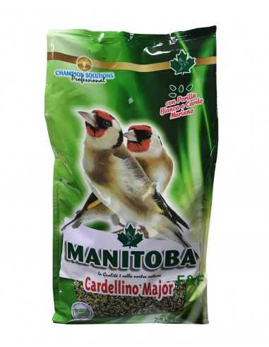 Mixtura Cardellino Mayor Manitoba