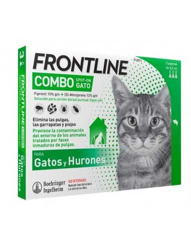 Frontline Combo gatti