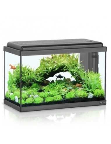 Acuario ADVANCE LED 50