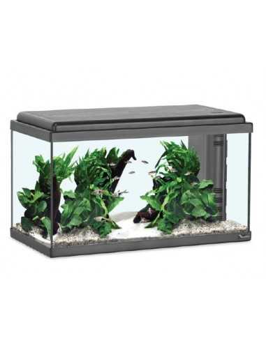 Acquario ADVANCE LED 60