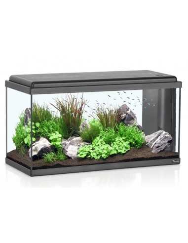 Acquario ADVANCE LED 80