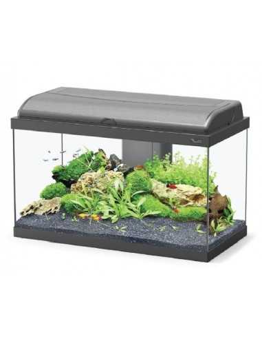 Acuario AQUADREAM 60