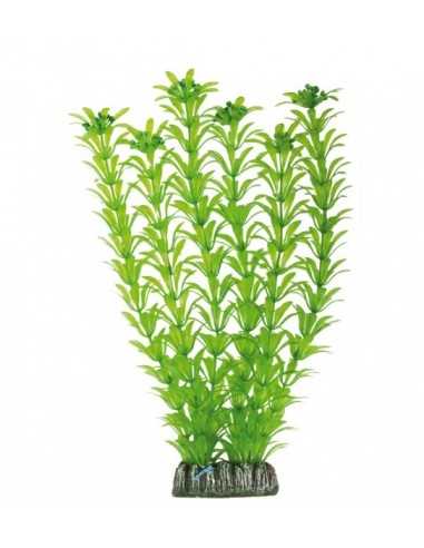 Elodea Plastic Plant PIANTE ACQUATICHE (29cm) ICA