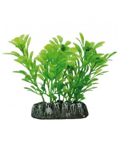 Samolus Plastic Plant PLANTAS AQUÁTICAS (7 cm) ICA