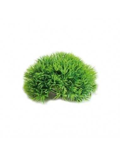 Plante en plastique demi-boule salvacria 17cm Boyu