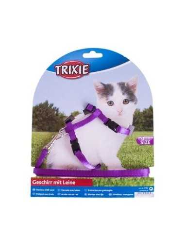 Arnet Leashed  Gatinhos Trixie