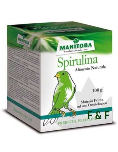 Spiruline Manitoba