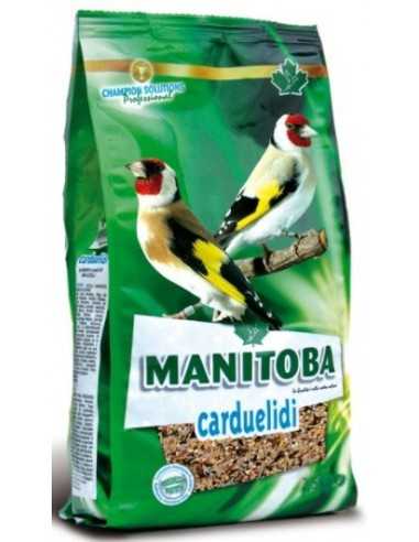 Mixture Carduelidi + Chia Manitoba