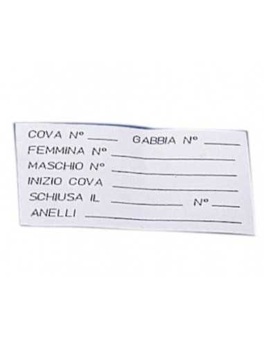 carte (I021) STA