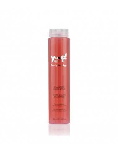 SHAMPOO PER CAPELLI SCURI YUUP