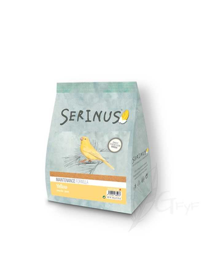 Yellow breeds Maintenance Serinus