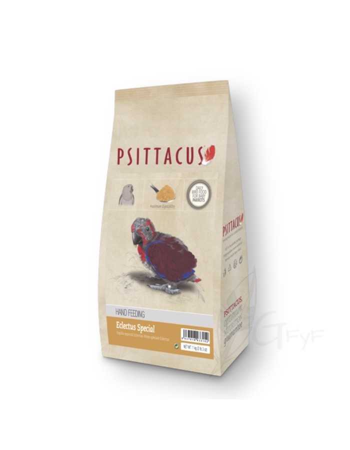 Papilla Especial ECLECTUS Psittacus