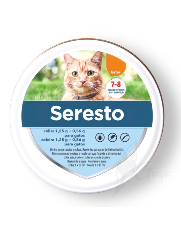 Gato Seresto Elanco