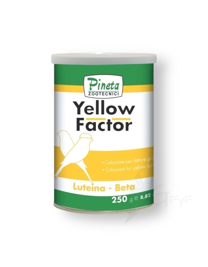 Pineta Yellow Factor