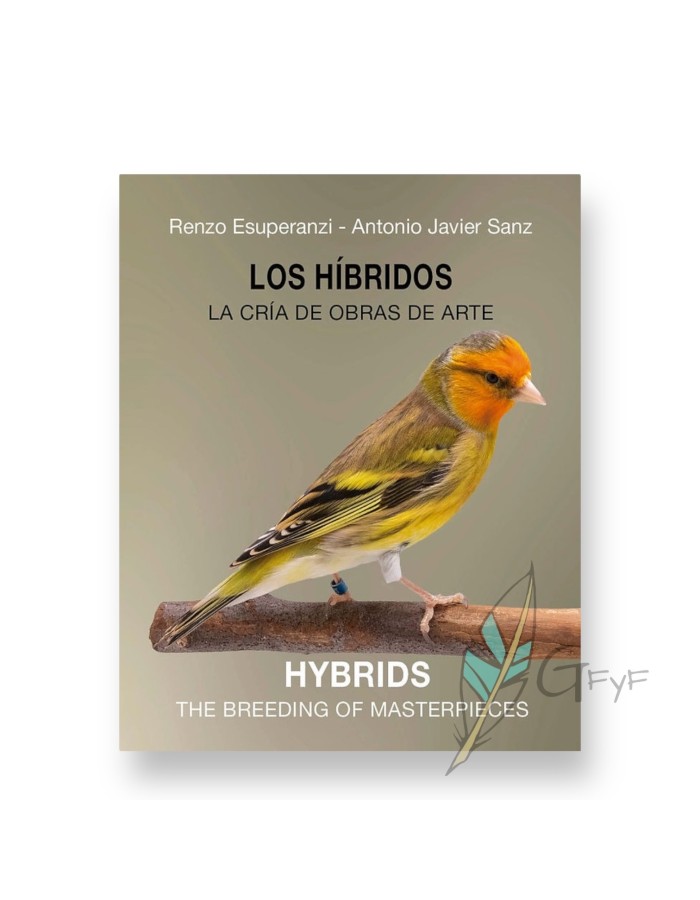 Buch The Hybrids Antonio Javier Sanz